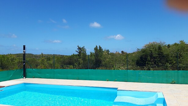 A swimming pool with a clear blue water surface, surrounded by a green fence and trees in the background.