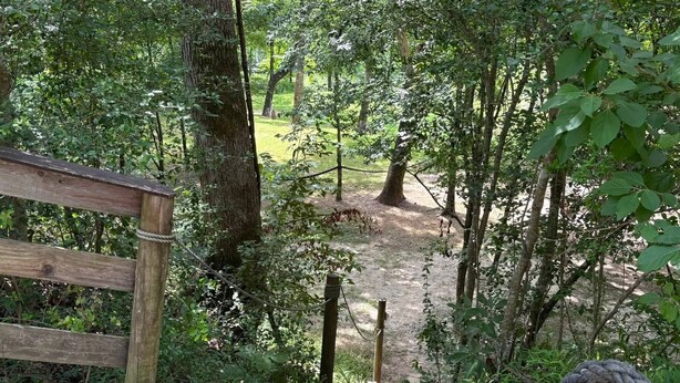 Ein Holzweg führt in einen bewaldeten Bereich, begleitet von einem rustikalen Holzzaun.