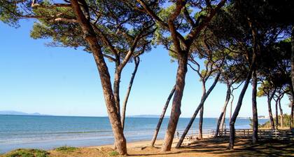 Beautiful apartment in Piombino
