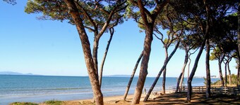 Hermoso apartamento en Piombino