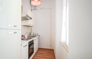 Fridge, oven, stovetop