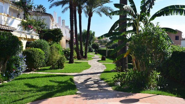 A pathway leading to a pool surrounded by lush greenery and palm trees. - Anacasa Duplex Marineta Bot DUP2136 (Denia)