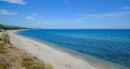Stunning home in Cervione with WiFi