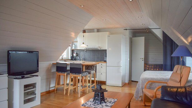 A compact living space with a dining area, kitchenette, and a TV on a stand. - Pet friendly apartment in Degeberga (Degeberga)