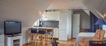 Pet friendly apartment in Degeberga