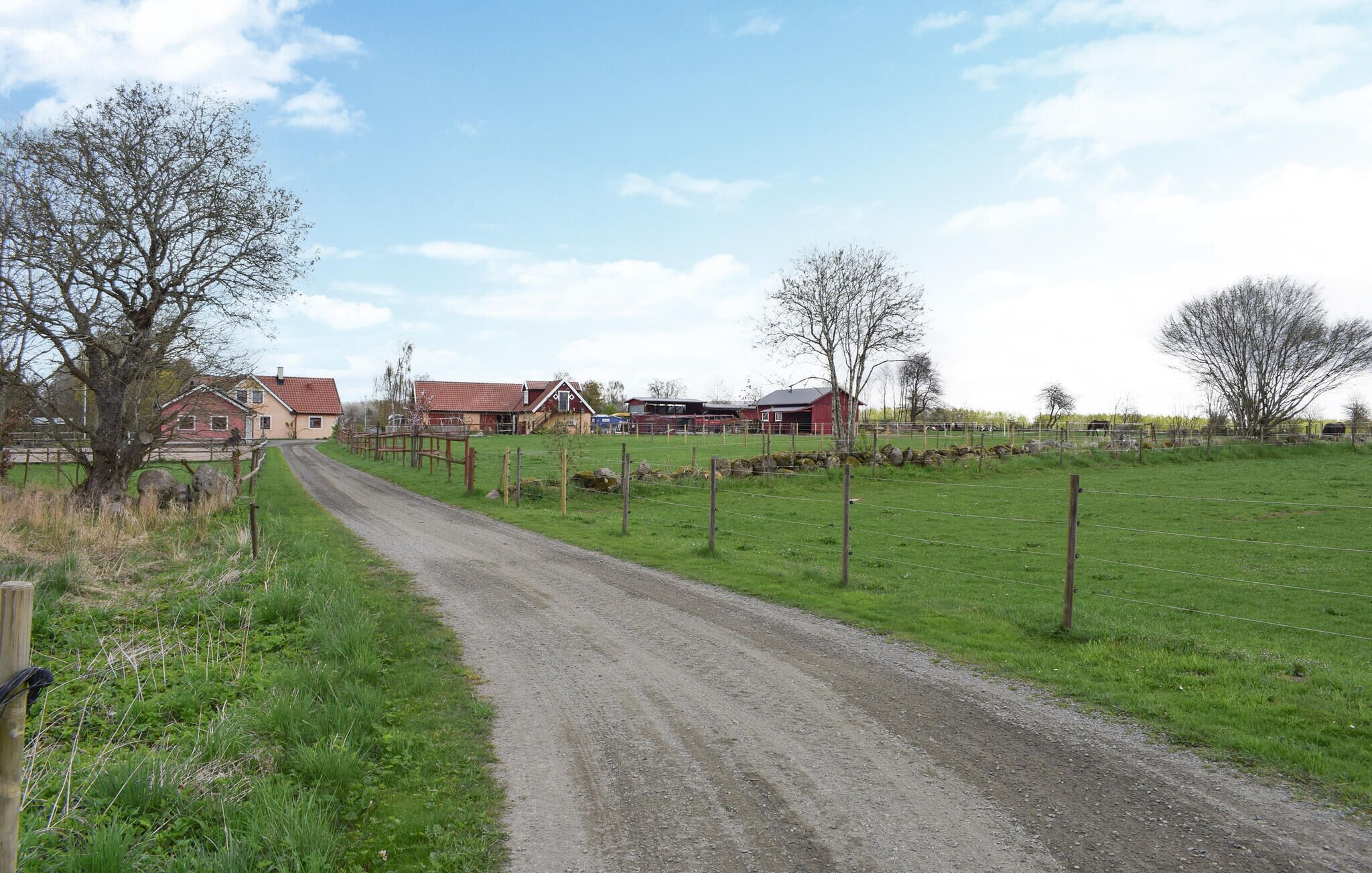 Een landweg die leidt naar een boerderij met schuren en een woonhuis.
