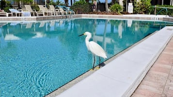 Piscina all'aperto