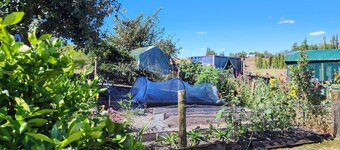 Wonderful cottage with WiFi in Horotiu, beautiful rural setting