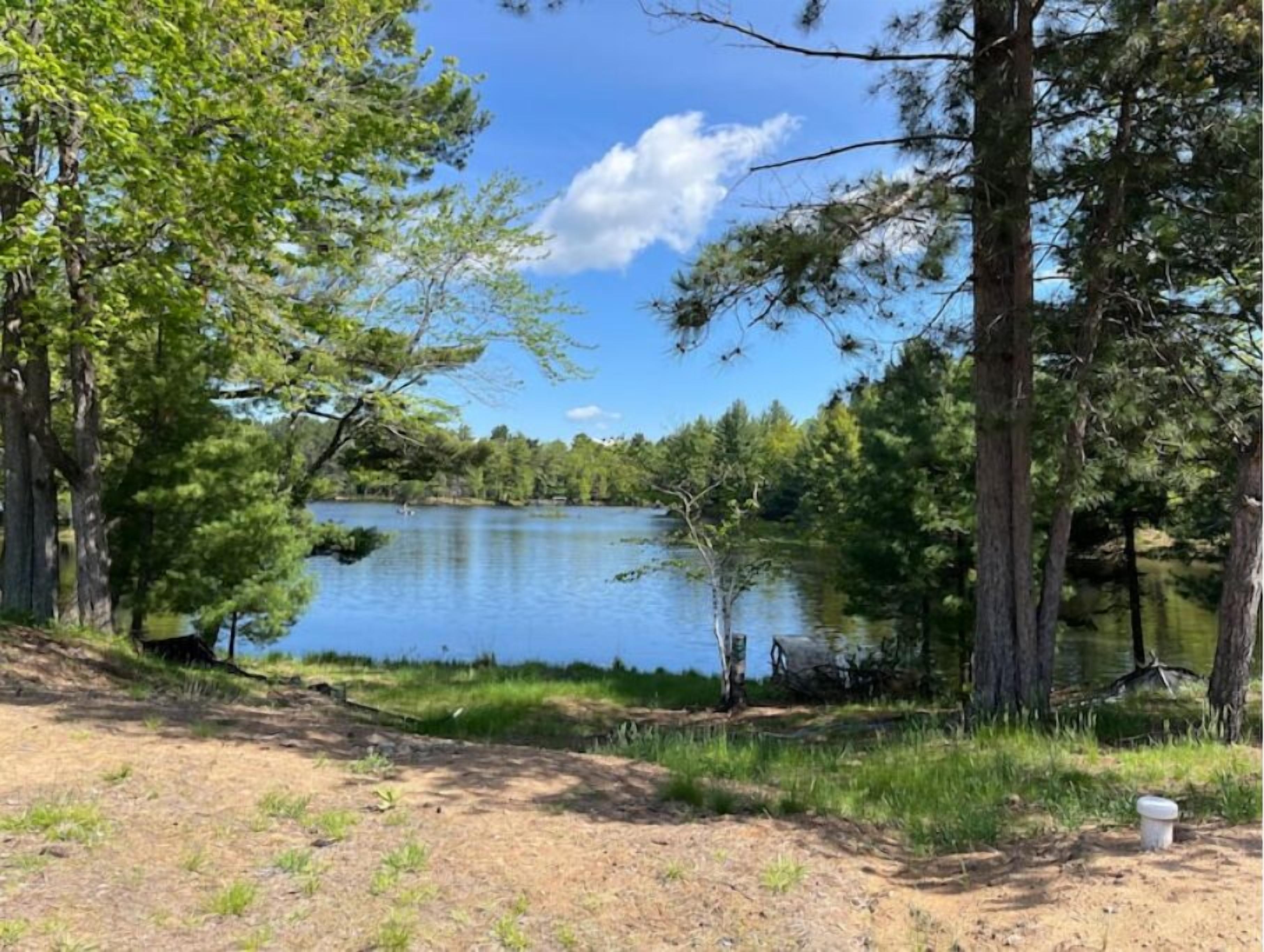 A serene lakeside setting with trees and a clear sky.