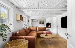 Tv, pejs, bordfodbold, bordtennisbord