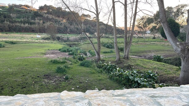 A stone wall with a grassy field and trees in the background.