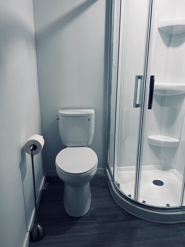A bathroom with a toilet, a glass shower enclosure, and a toilet paper holder.