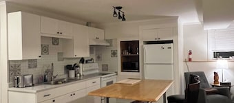 Casa Michaud, full basement suite