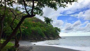 Una playa con costa rocosa, árboles y vistas al océano.