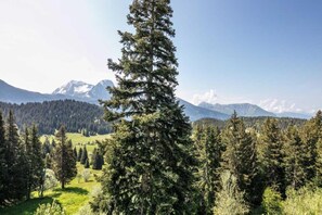 Miscellaneous - Family Escape in the Alps (Chamrousse)