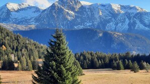 Paisatge de muntanya amb cims nevats, boscos densos i un cel serè.