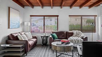 TV, fireplace, video games, books