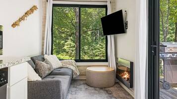 Télévision, cheminée