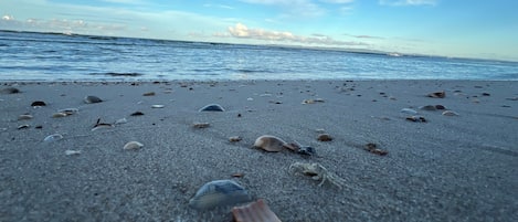 靠近海滩