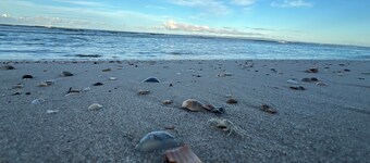 Woorim Waves Beach House (dog friendly)