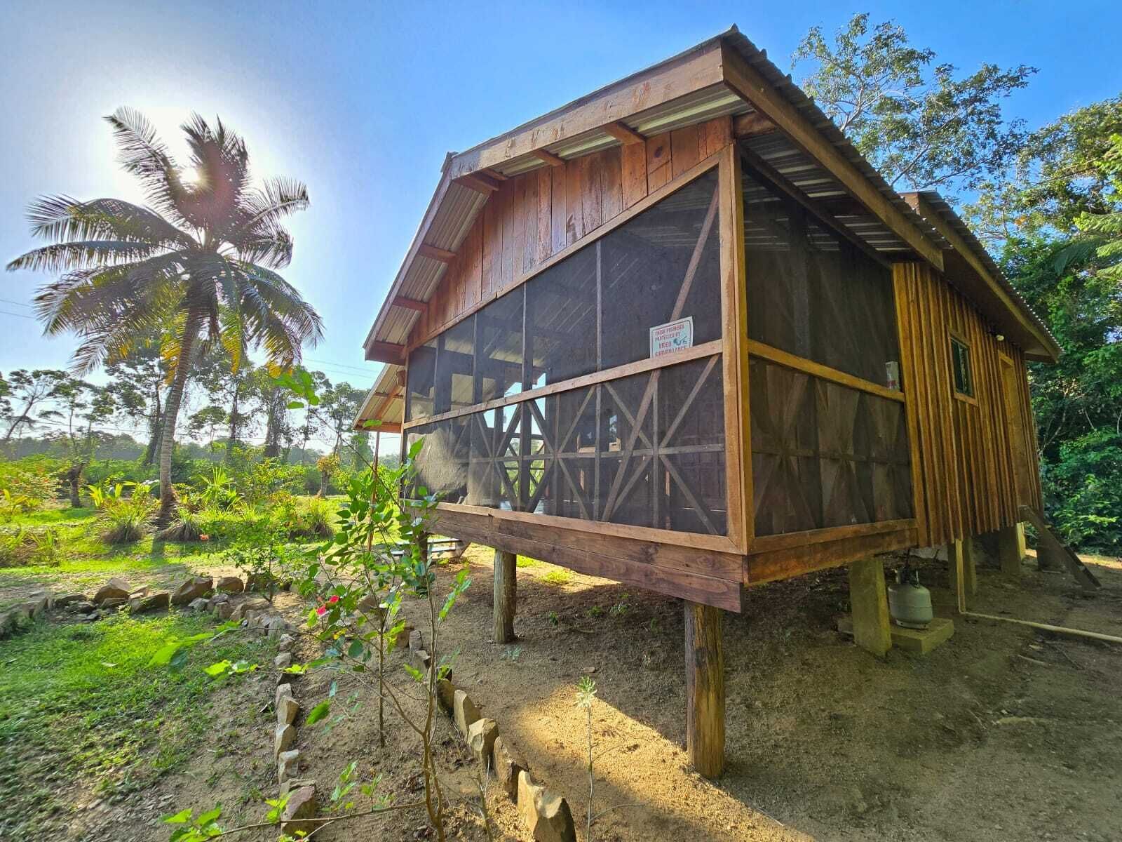 Estudio, varias camas, vista al jardín | Terraza o patio