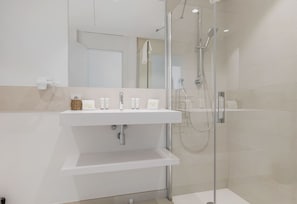 Douche, séchoir à cheveux, serviettes fournies, savon
