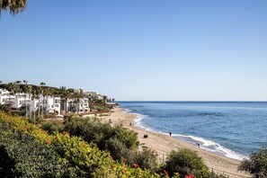 Playa en los alrededores 