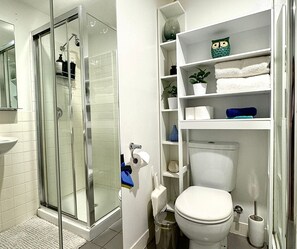 Hair dryer, towels, soap, shampoo