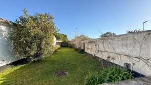 A narrow, grassy pathway flanked by a concrete wall and a bushy tree.