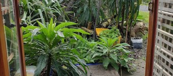 Famous Riverton Boat Shed