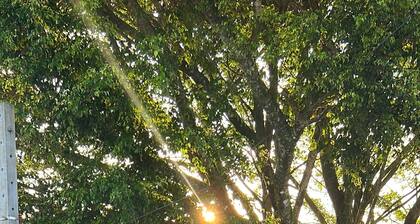 Enjoyable townhome with WiFi in Guaratuba