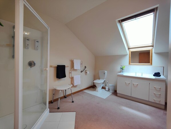 A bathroom with a shower, toilet, sink, and a skylight. - Te Anau Dusky Delight (Te Anau)