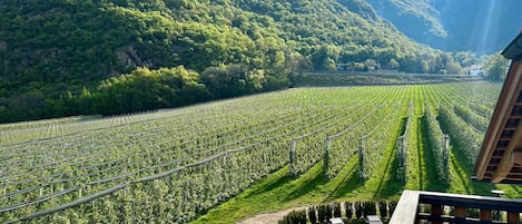 Parco della struttura