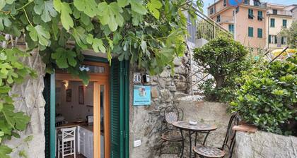 Apartment 'Silvia Nelle 5 Terre' with Private Terrace, Wi-Fi and Air Conditioning