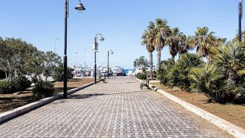 A paved walkway with street lamps, palm trees, and a distant view of boats.