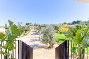 A pathway leading to a building with a view of a garden and trees.