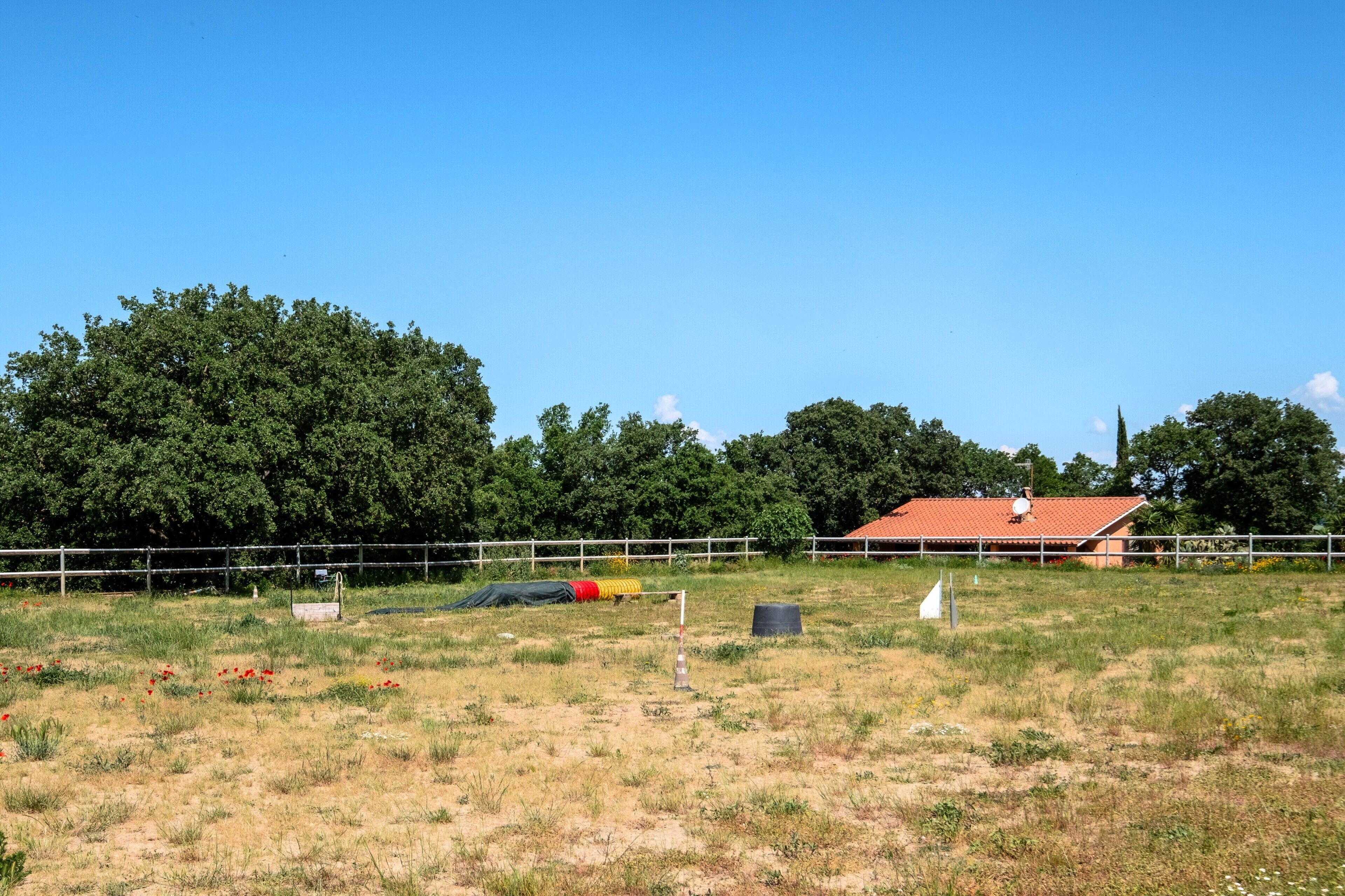 A fenced field with a building in the background, trees, and a clear sky.