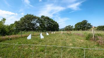 Overnatningsstedets område