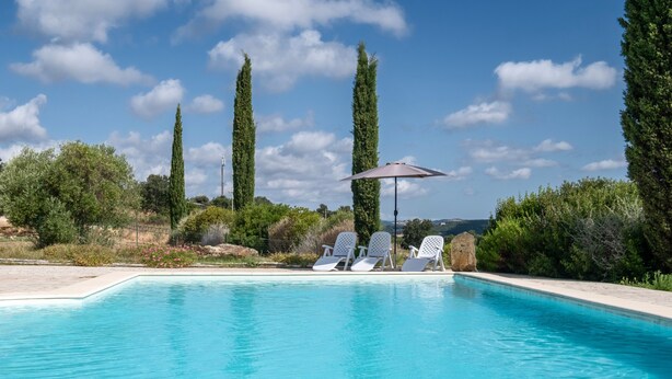 Une piscine entourée de verdure et de grands arbres, avec des chaises longues et un parasol.