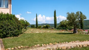 Un jardin bien entretenu, avec une pelouse, un chemin de pierres et des arbres adultes.