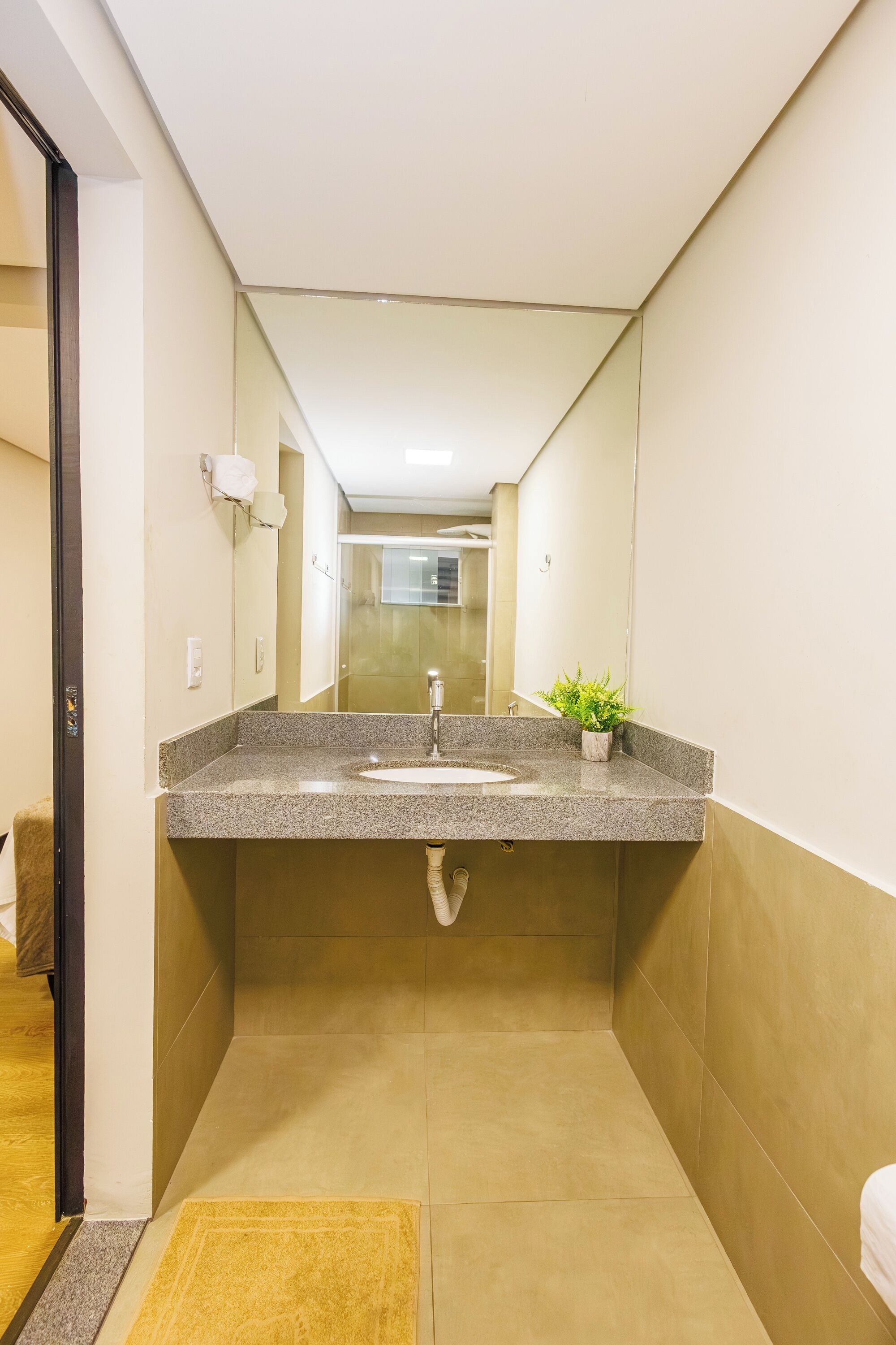 A bathroom with a granite countertop sink, a mirror, and a small potted plant.