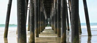 Premium Deluxe King Studio + Patio - South Oceanside Bunalow 10