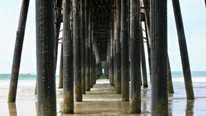 Une jetée qui s’avance dans l’eau et d’où l’on a une vue dégagée sur l’océan et la plage.