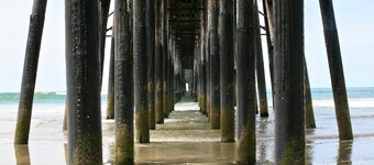 South Oceanside Bungalow 11 - Luxury King Suite + Patio