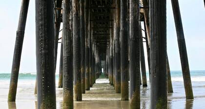 South O Bungalow 12 - Deluxe Double ADA Studio + XL Private Patio