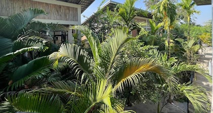 Treetop Bungalows