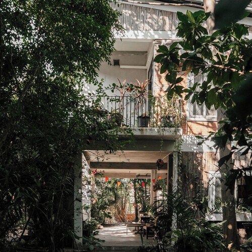 Treetop Bungalows