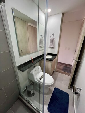 Douche, séchoir à cheveux, serviettes fournies, savon