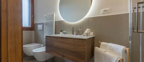 Shower, hair dryer, bidet, towels
