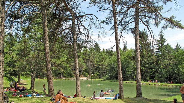 A lakeside park with picnic areas and trees.